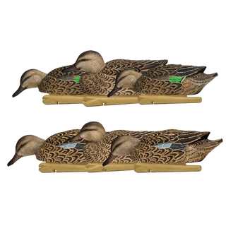 Avian-X Topflight Early Season Teal