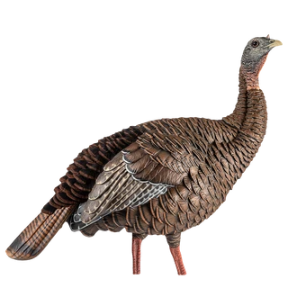 Avian-X HDR Hen