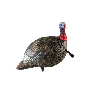 Avian-X LCD Quarter-Strut Jake