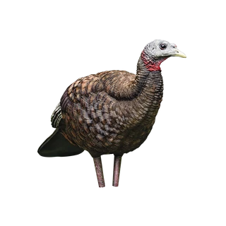 Avian-X LCD Breeder Hen
