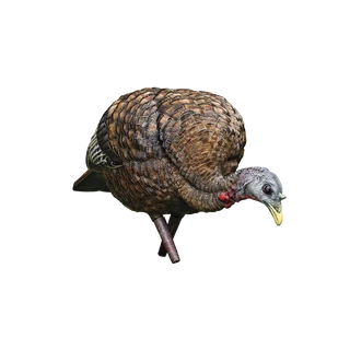 Avian-X LCD Feeder Hen