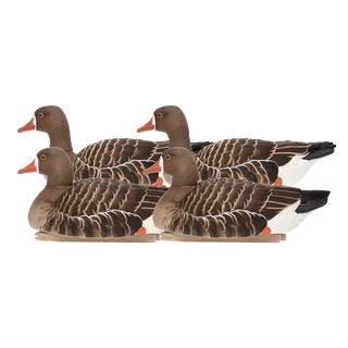 Avian-X Topflight Specklebelly
