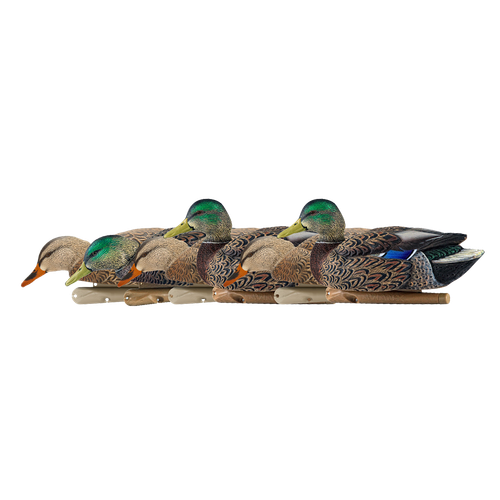 Topflight Early Season Mallards