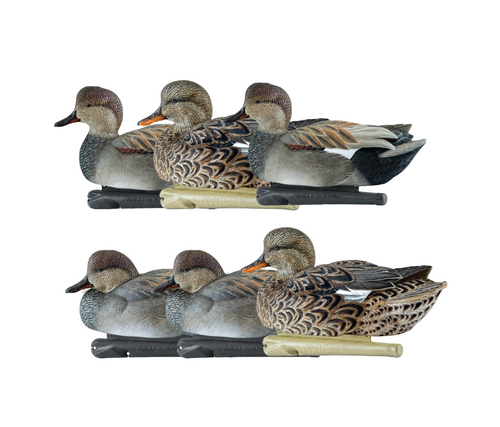Topflight Gadwall
