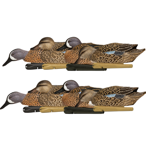 Topflight Blue-Winged Teal