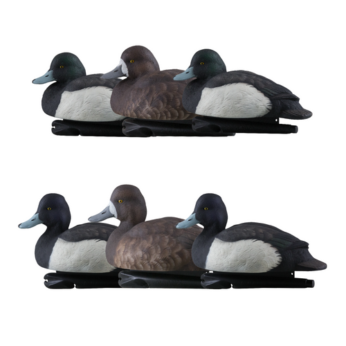 Topflight Blue Bills