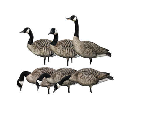 AVIAN-X Official Site | Replacement Parts | Full-Body Honker Base