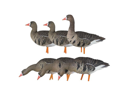 AXP Specklebelly: Fusion Pack