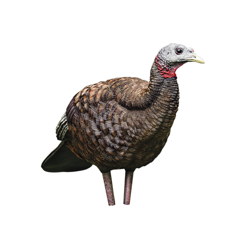 LCD Breeder Hen