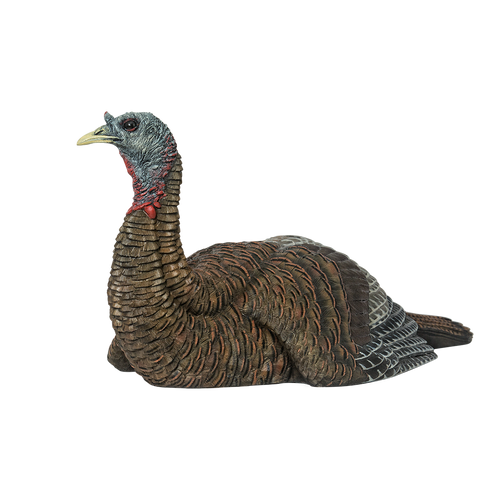 LCD Laydown Hen
