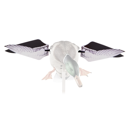Avian-X Powerflight Spinning Wing Mallard Lockvogel – Mit Fernbedienung, AVXDP101
