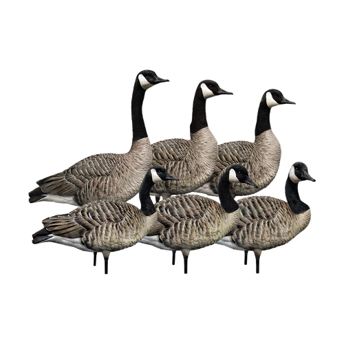 AXP Honker Sentry-Walker Pack