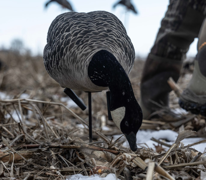 HDR Turkey Decoys