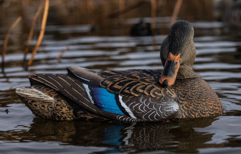 Power Shaker Motion Decoys