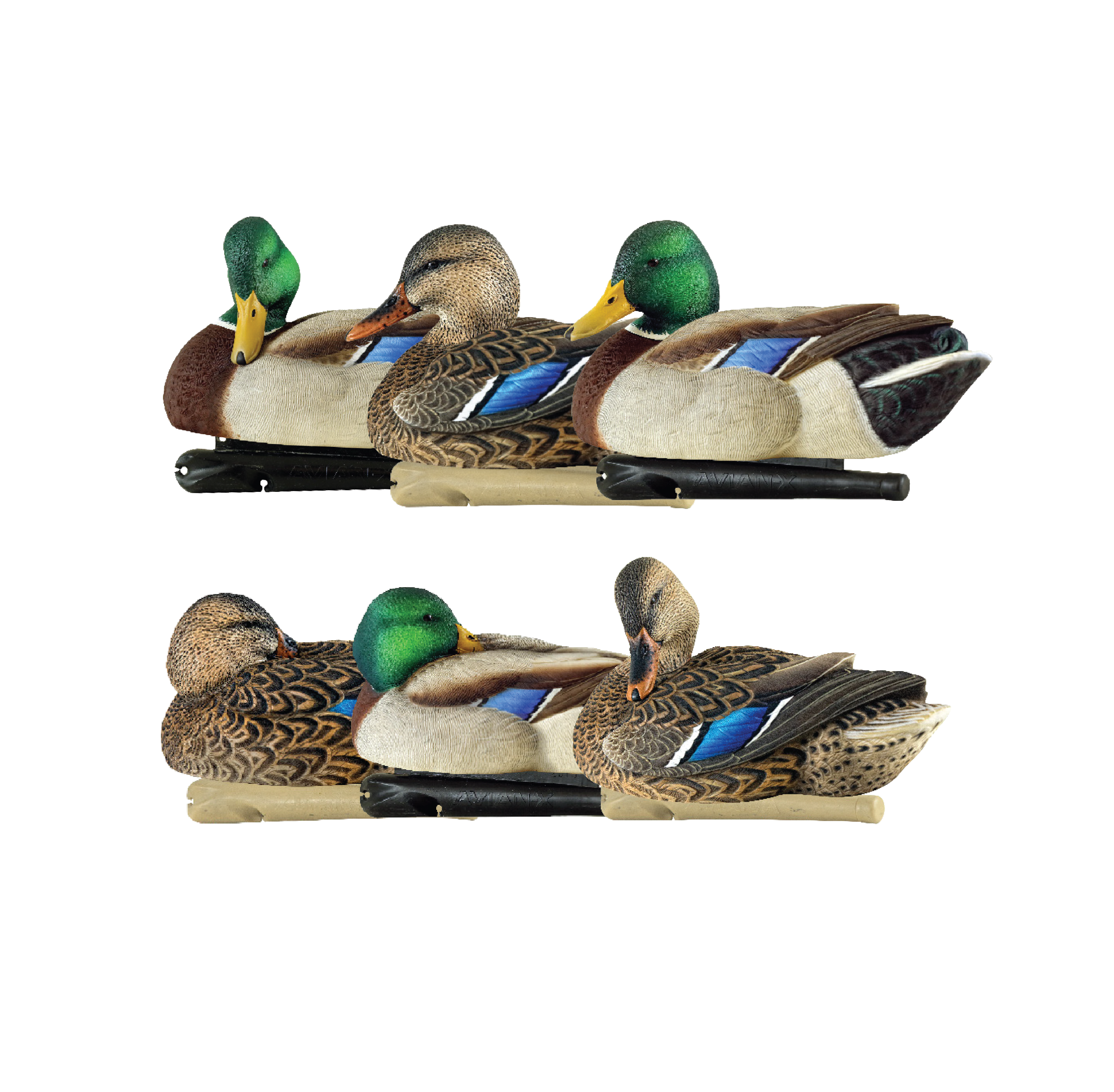 Topflight Mallards - Sleeper - Preener Pack