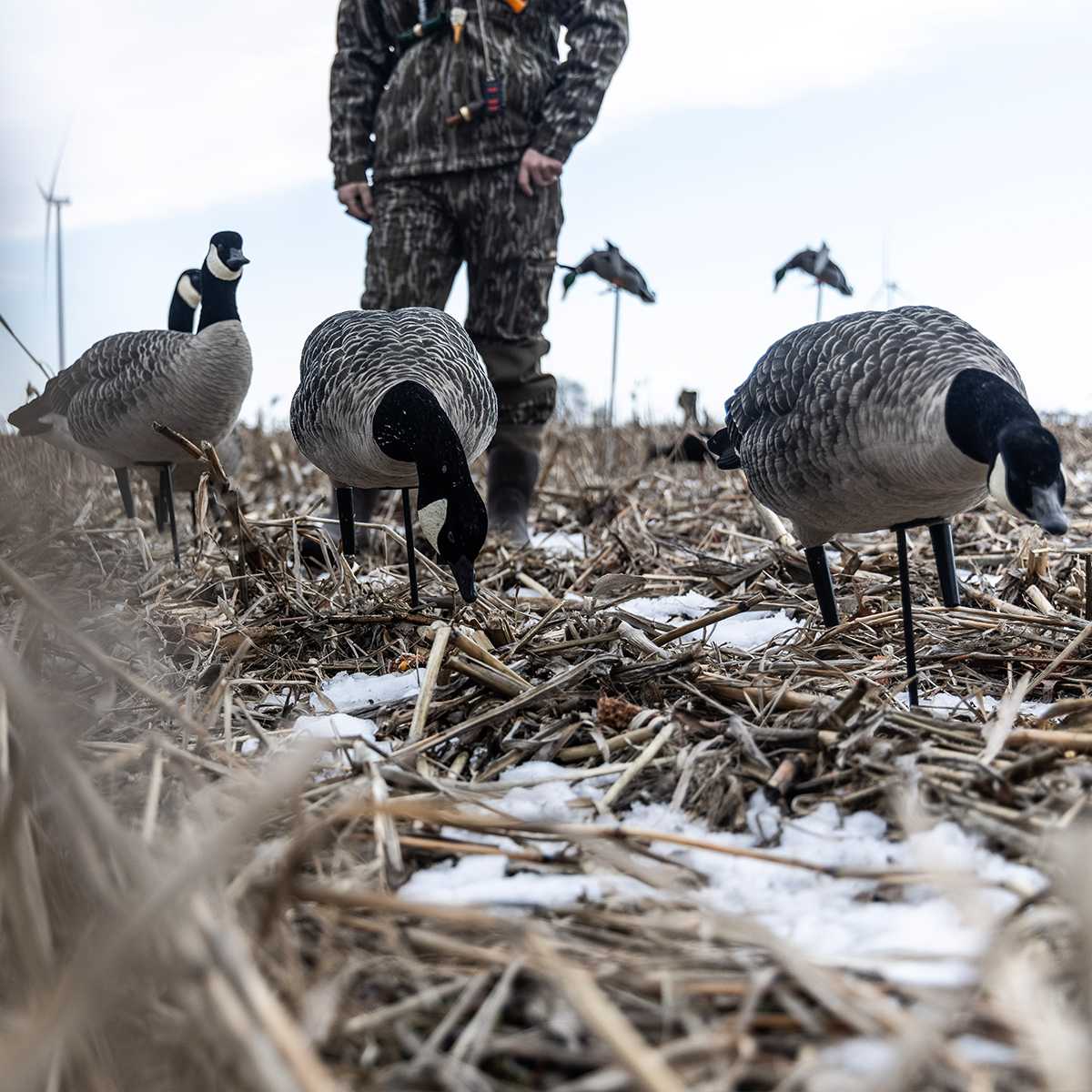 AXF Lessers: Outfitter Pack