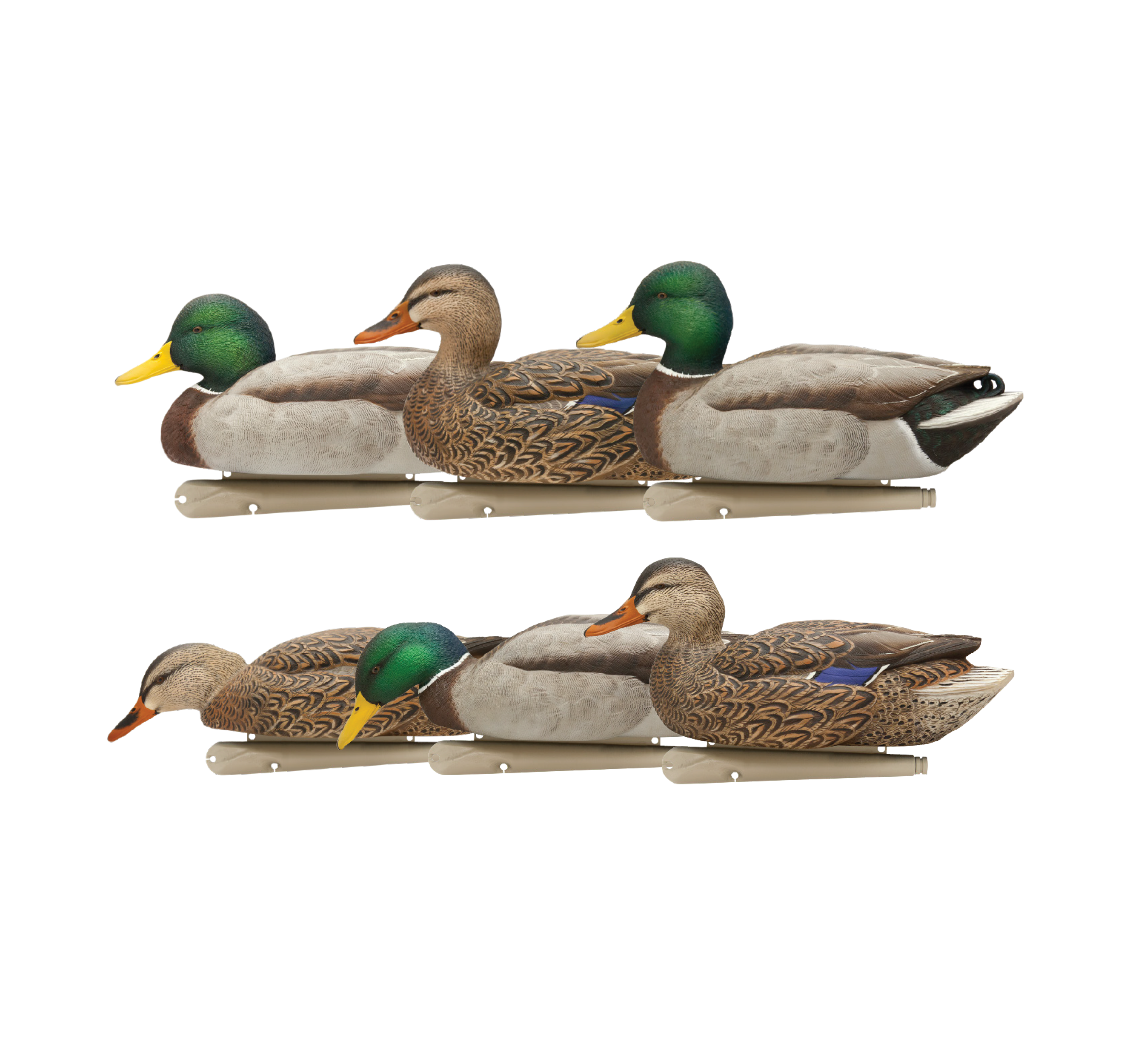 Topflight Fusion Mallards