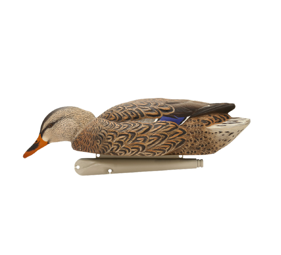 Topflight Early Season Mallards