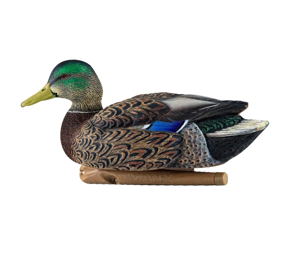 Topflight Early Season Mallards