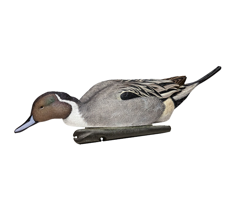 Topflight Pintails