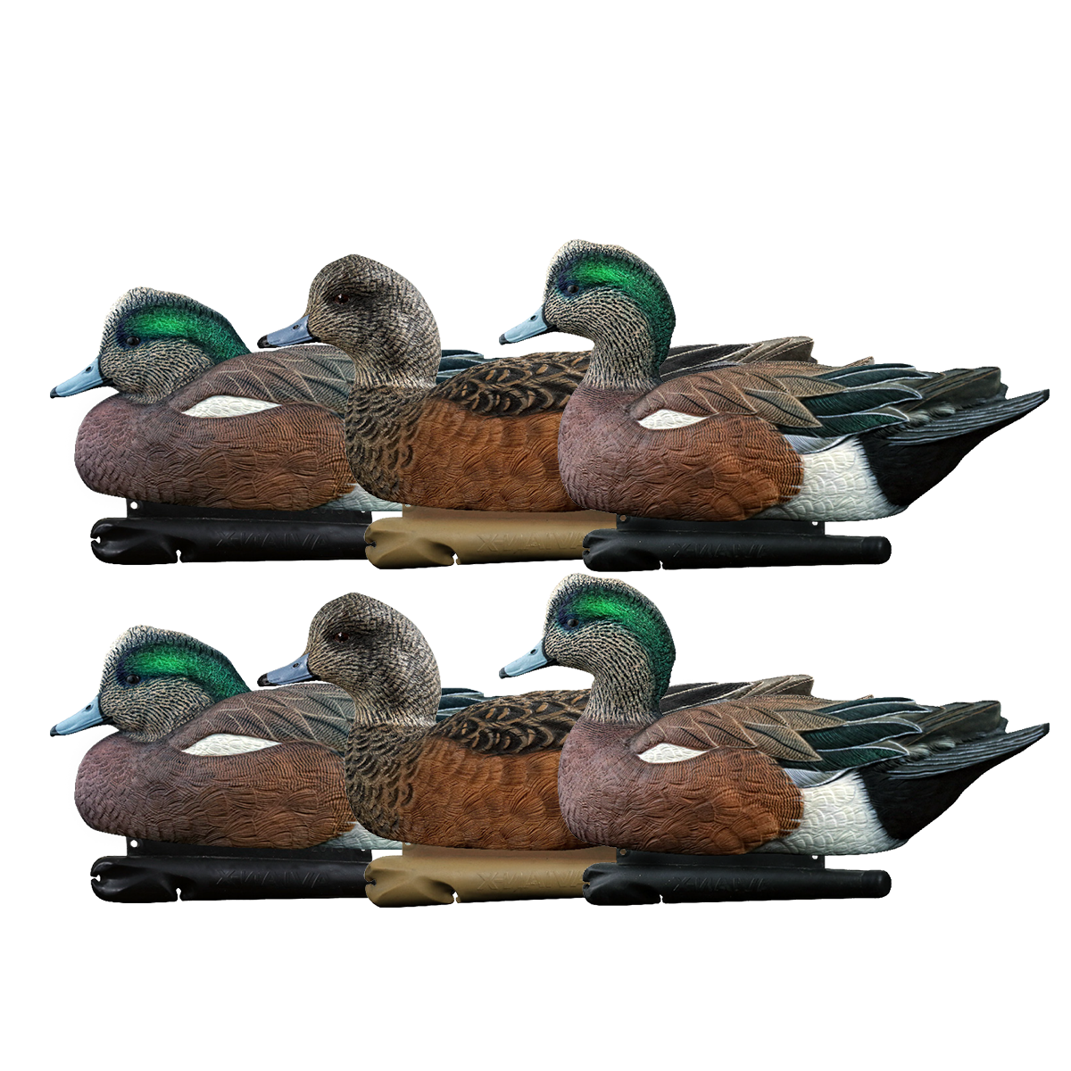 Topflight Wigeon