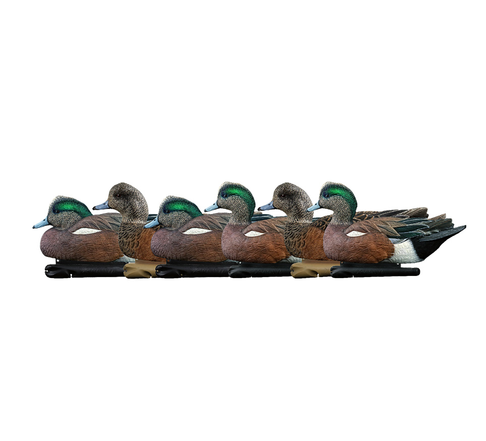 Topflight Wigeon