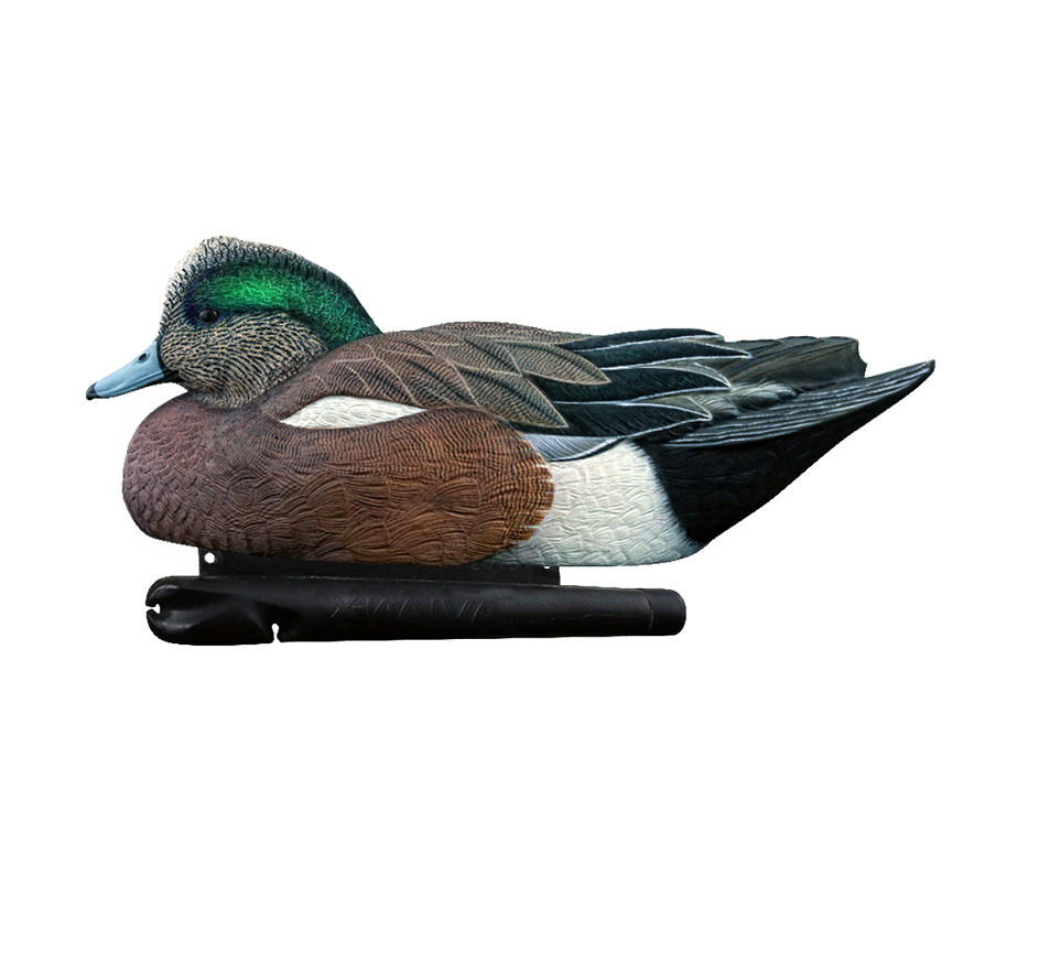 Topflight Wigeon
