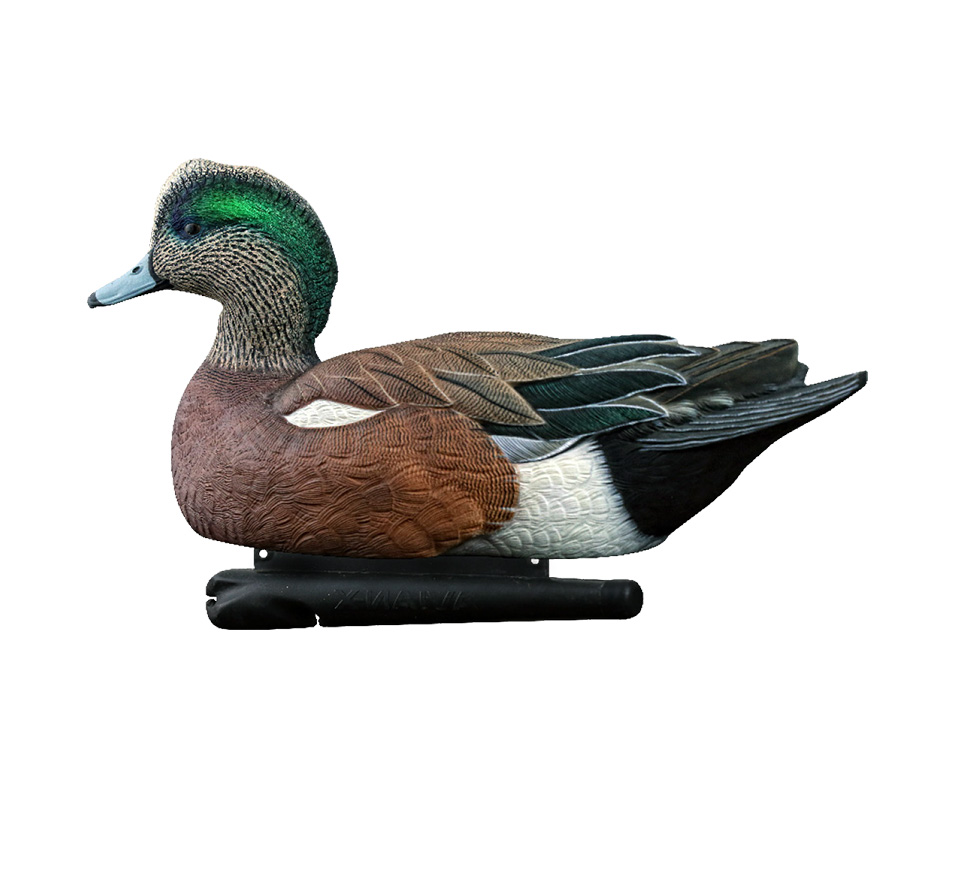 Topflight Wigeon