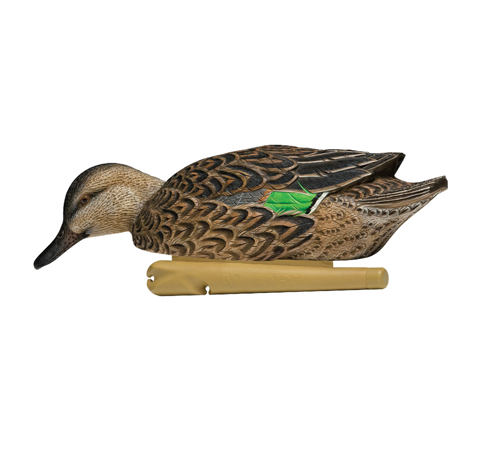 Topflight Green-Winged Teal | Avian-X | Shop