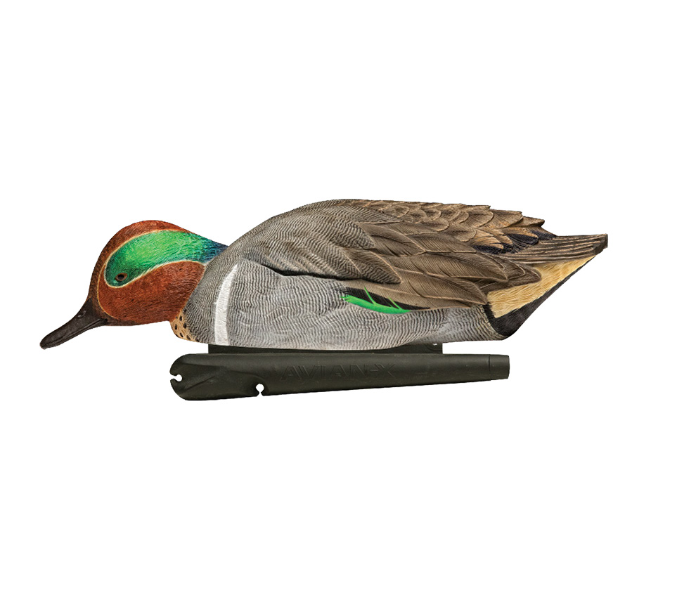 Topflight Green-Winged Teal | Avian-X | Shop