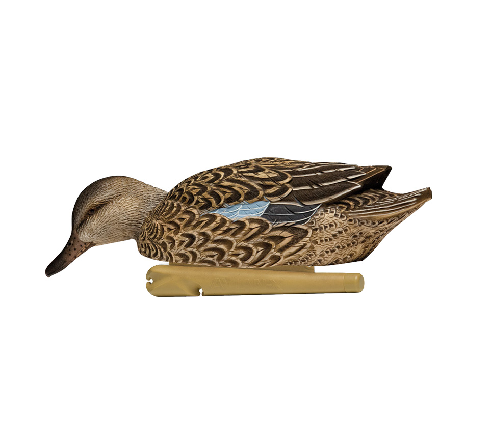 Topflight Early Season Teal