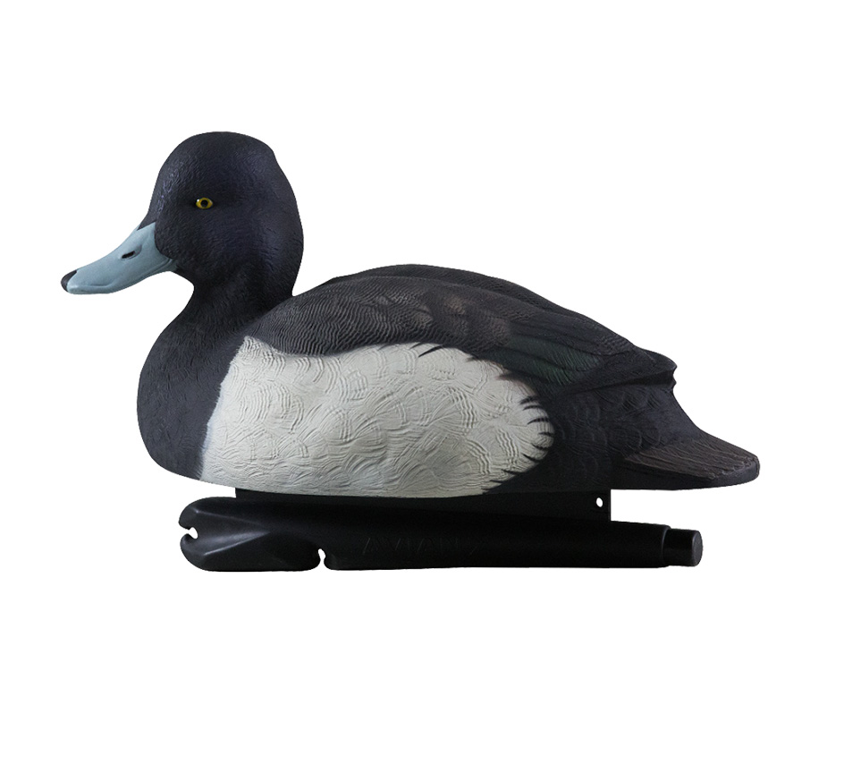 Topflight Blue Bills