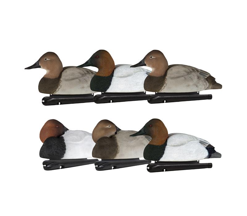 Topflight Canvasbacks
