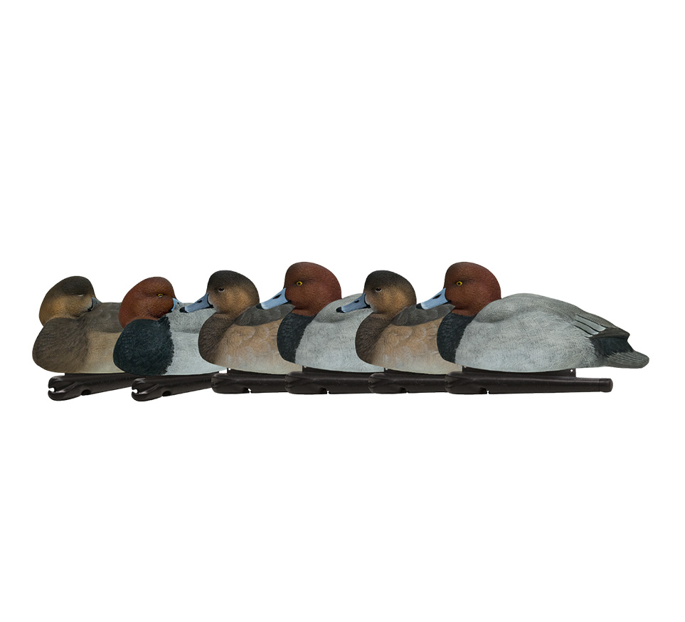 Topflight Redheads | Avian-X | Shop