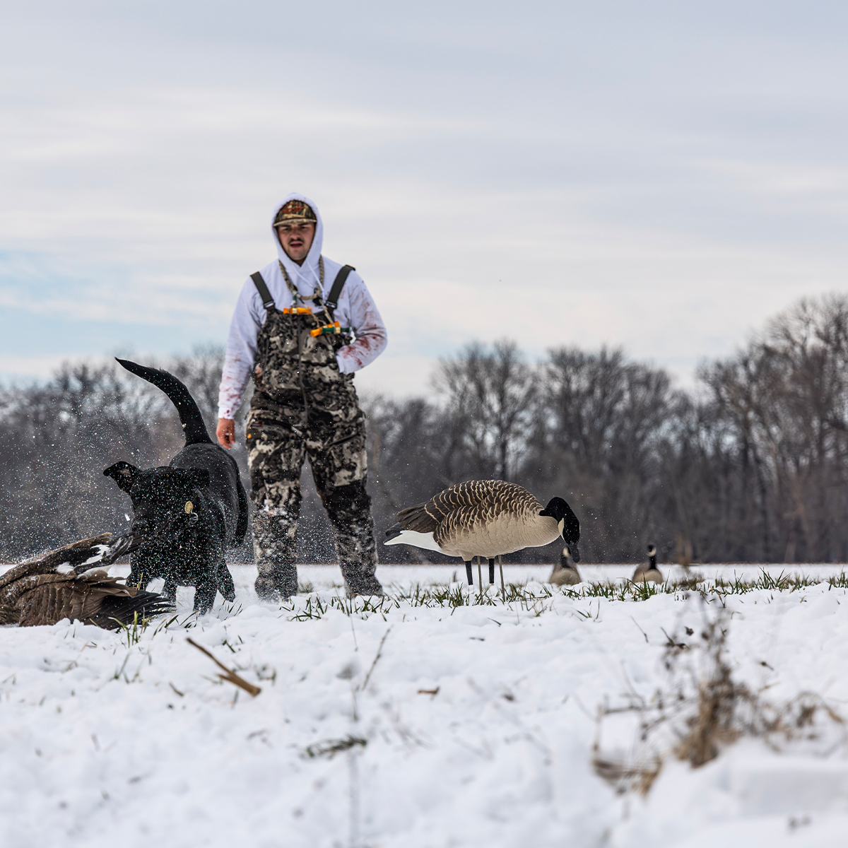 Topflight Honkers