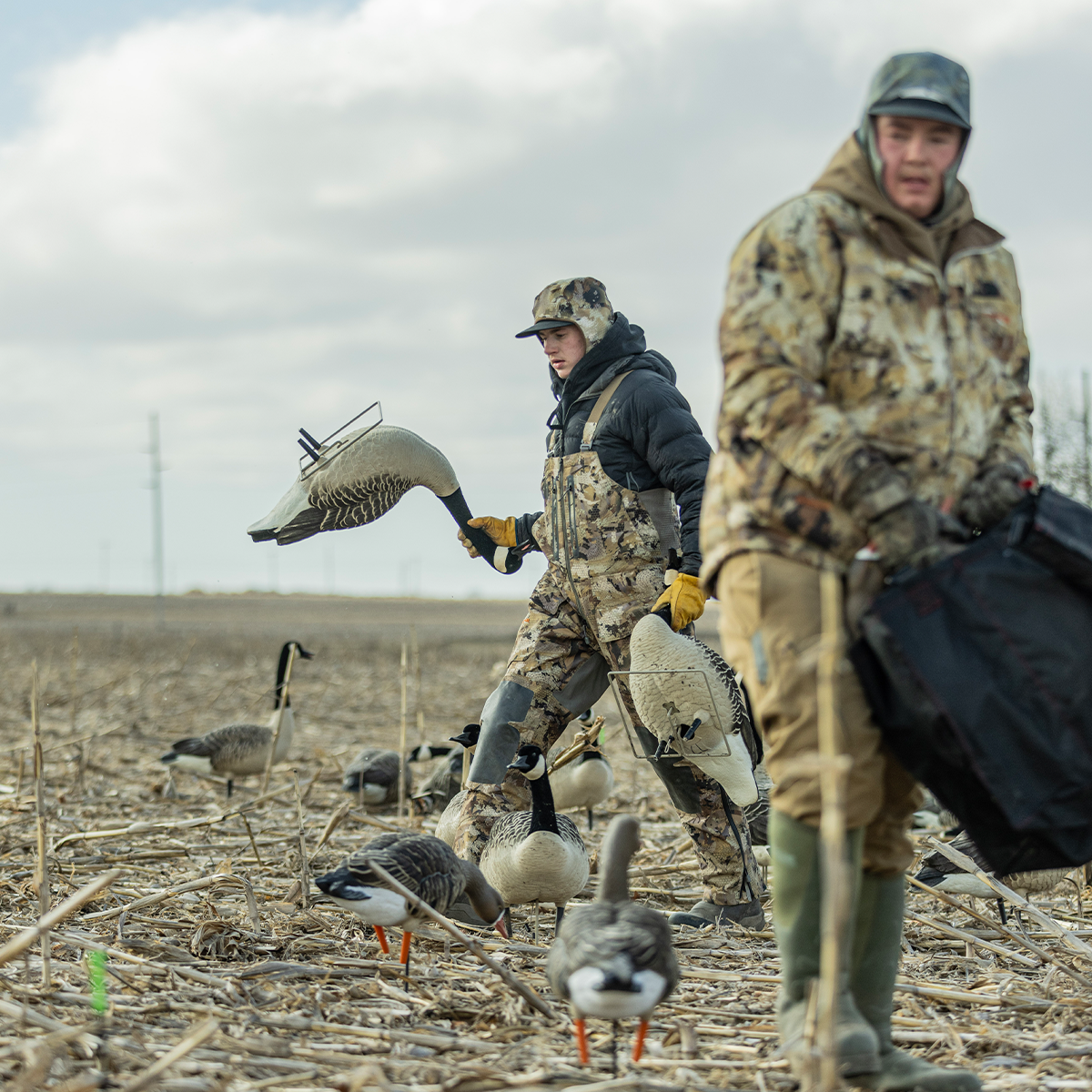 Topflight Honkers