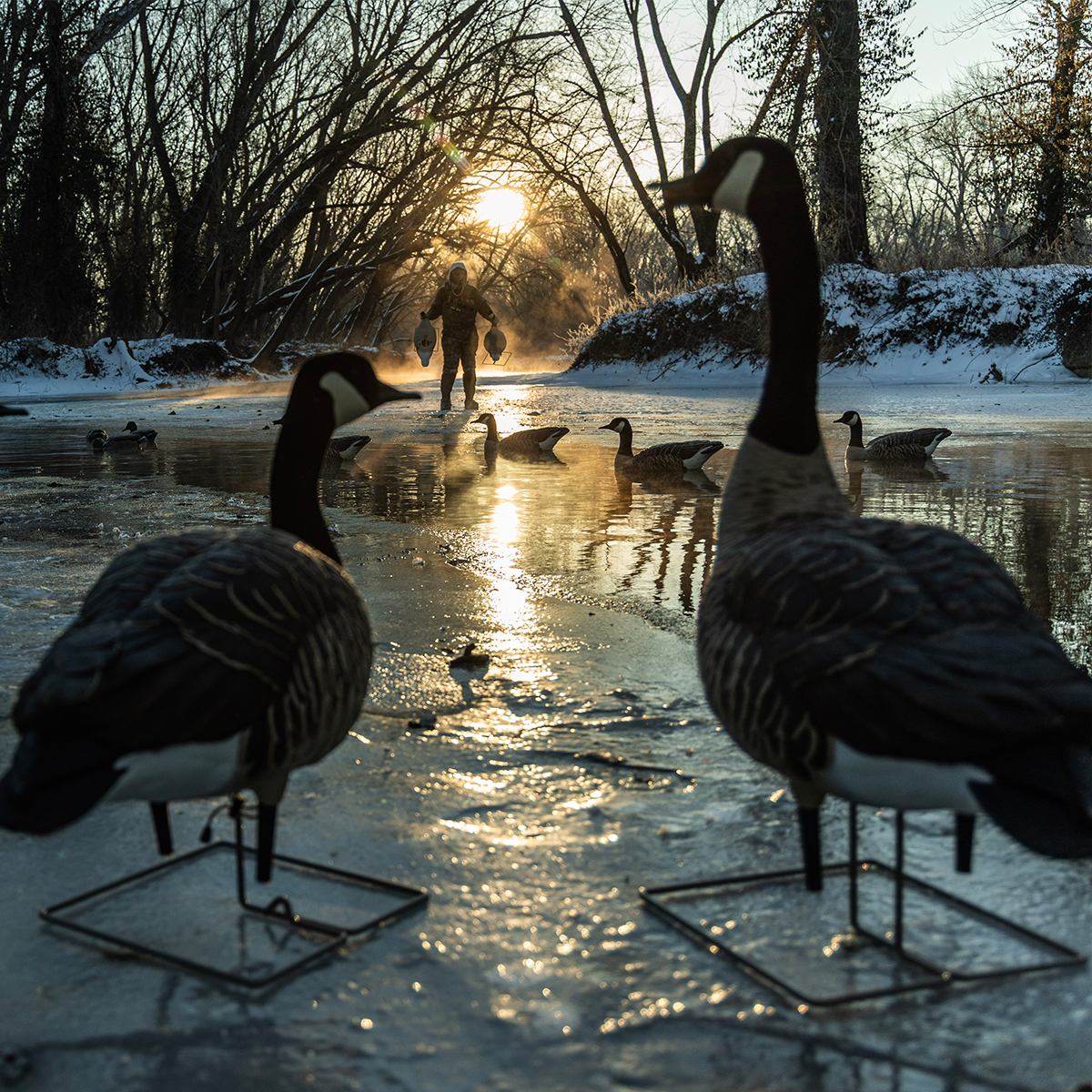 Topflight Honkers