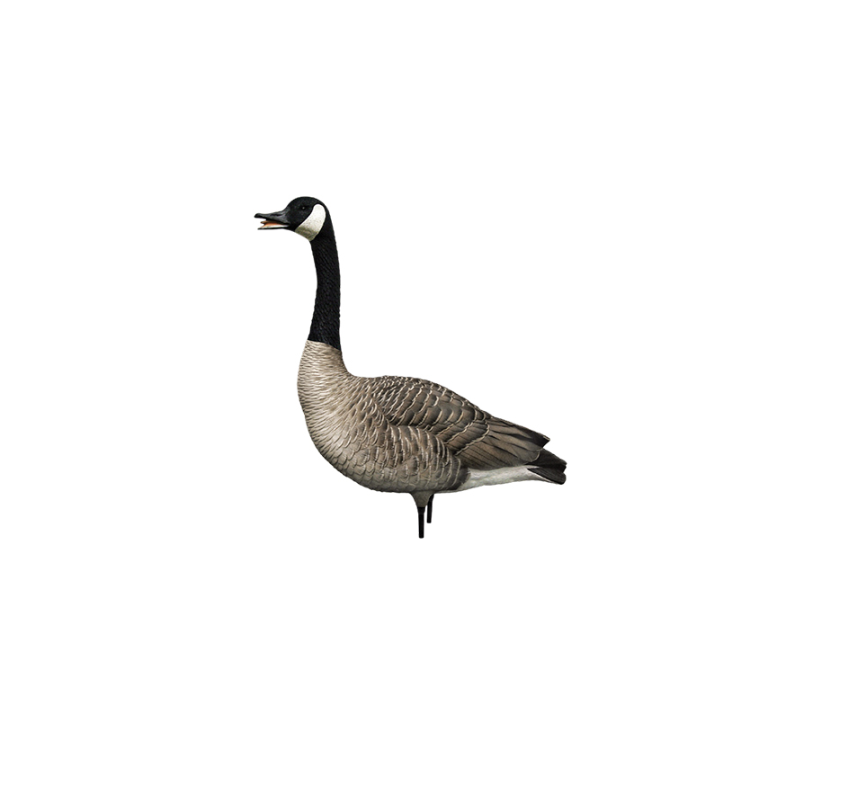 AXP Honkers: Fusion Pack | Avian-X | Shop