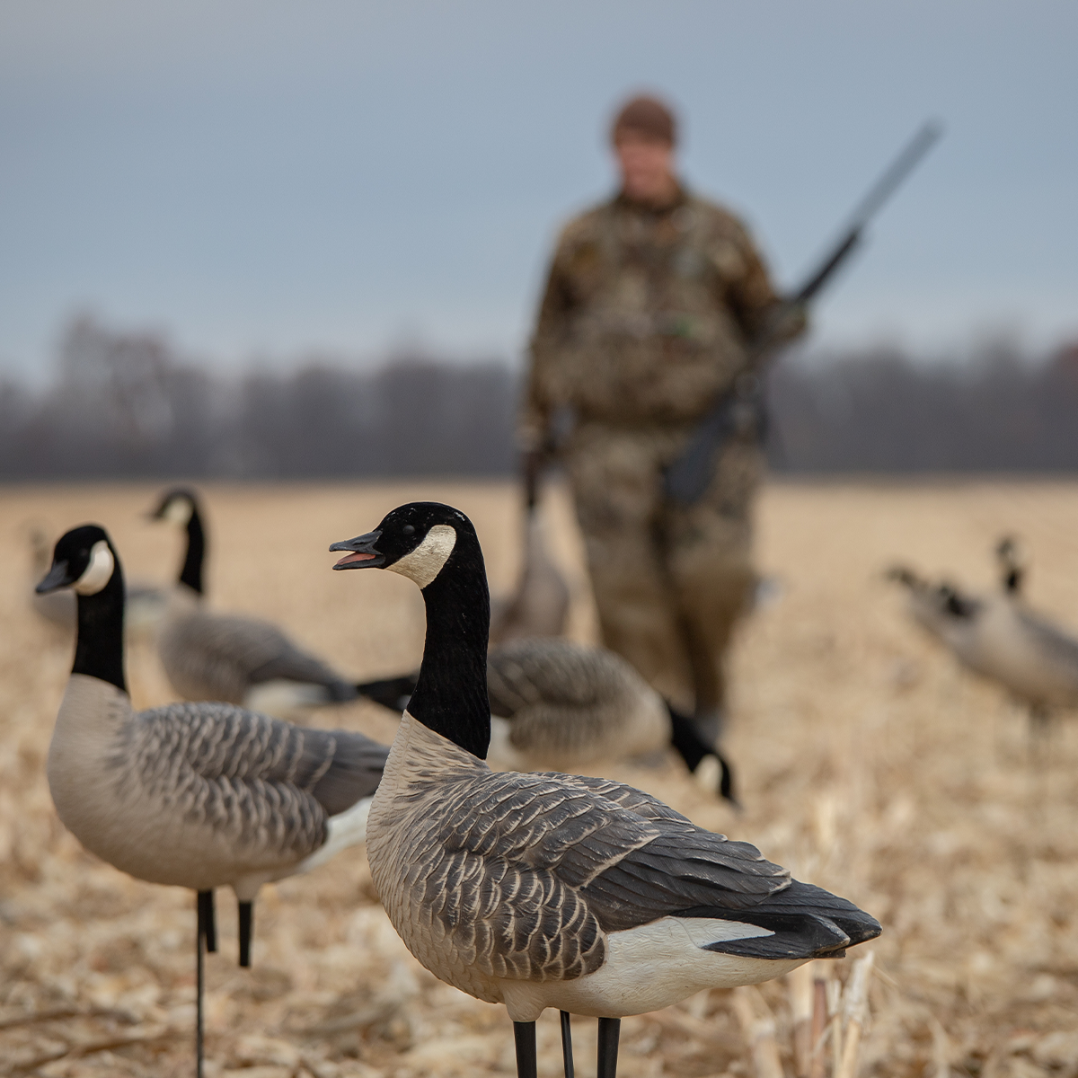 AXP Honkers: Feeder Pack