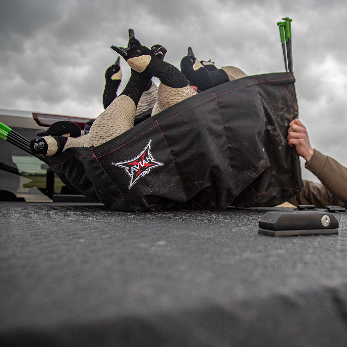 AXP Honkers: Feeder Pack