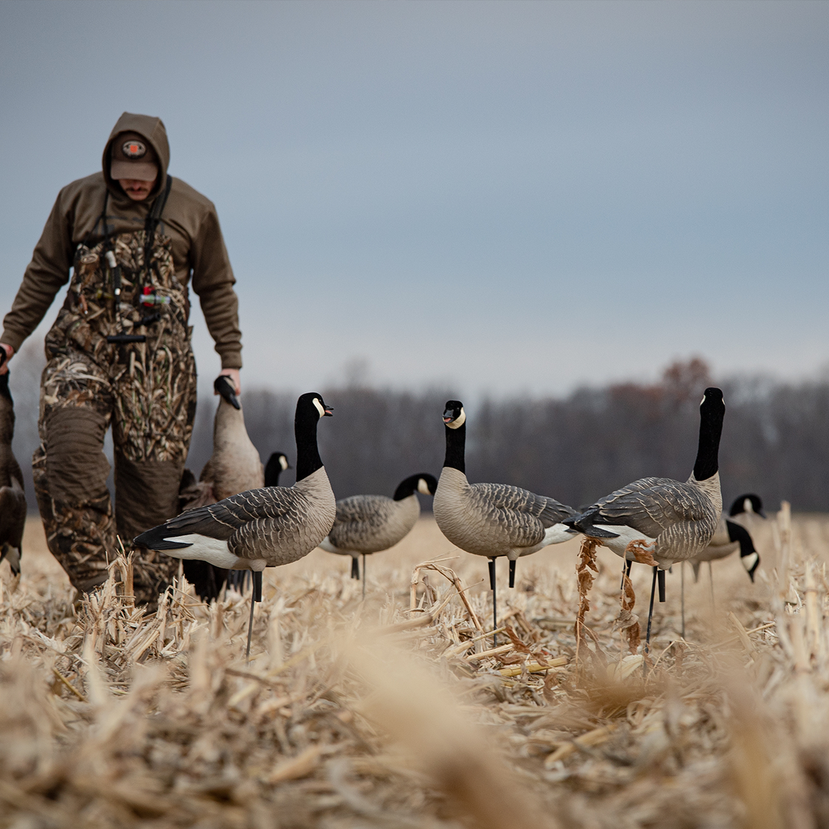 AXP Lessers: Outfitter Pack