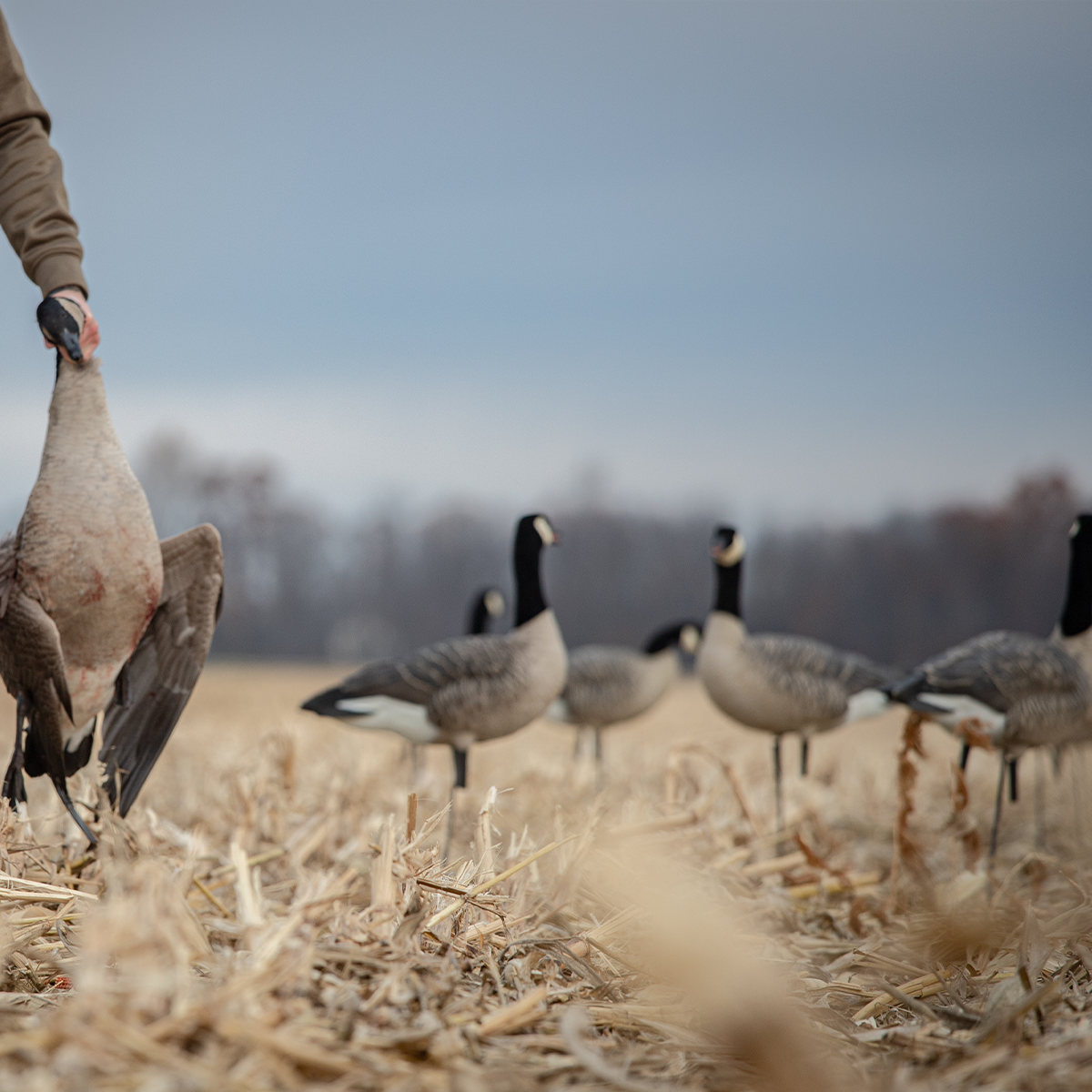 AXP Lessers: Outfitter Pack