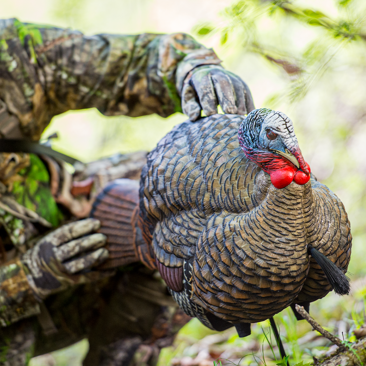 LCD Half-Strut Jake