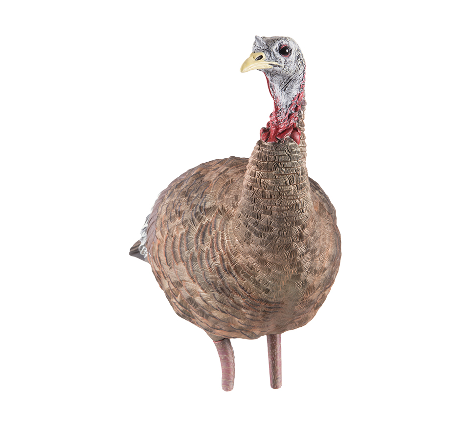 LCD Lookout Hen