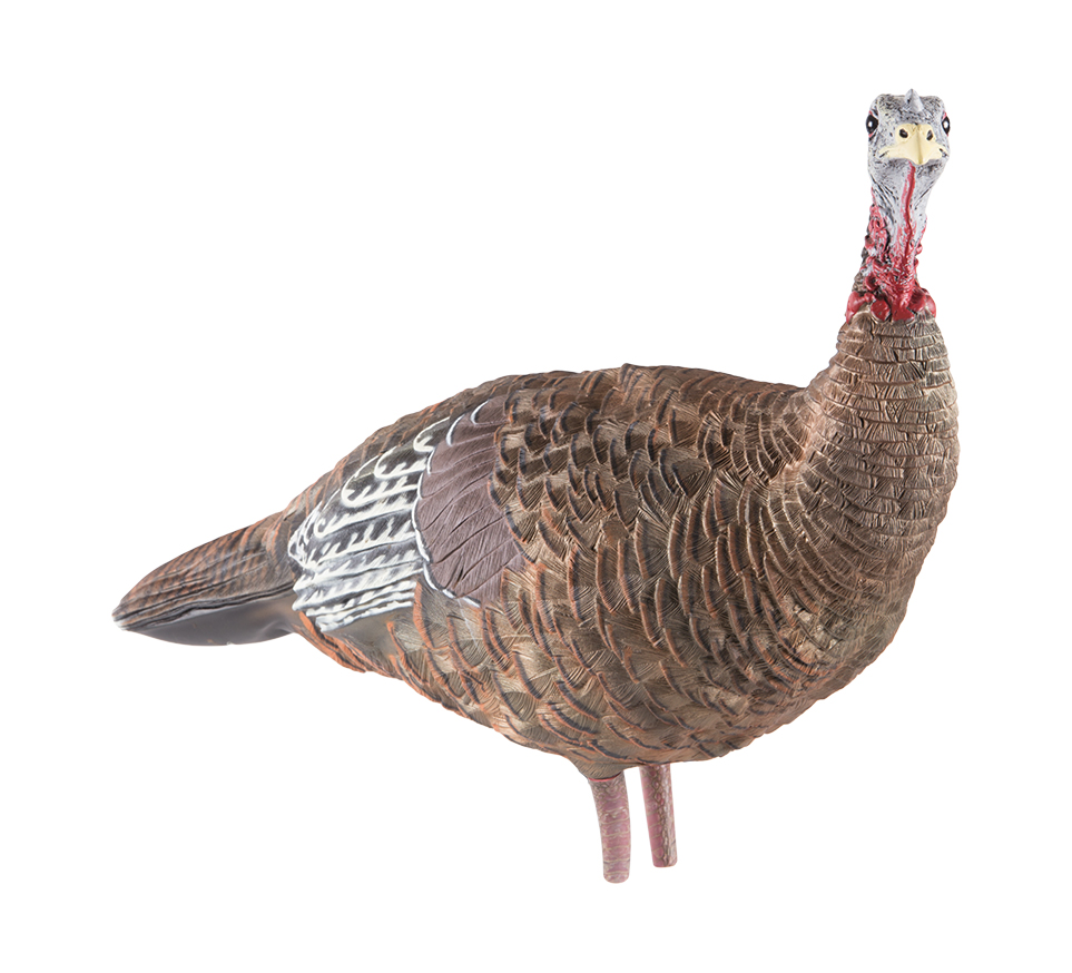 LCD Lookout Hen