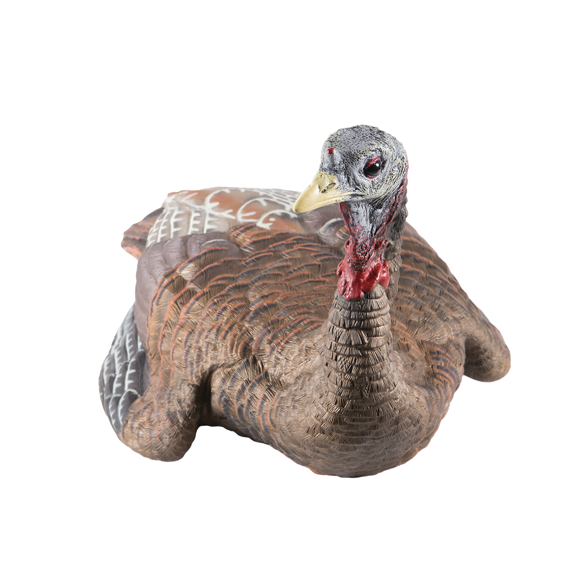 LCD Laydown Hen