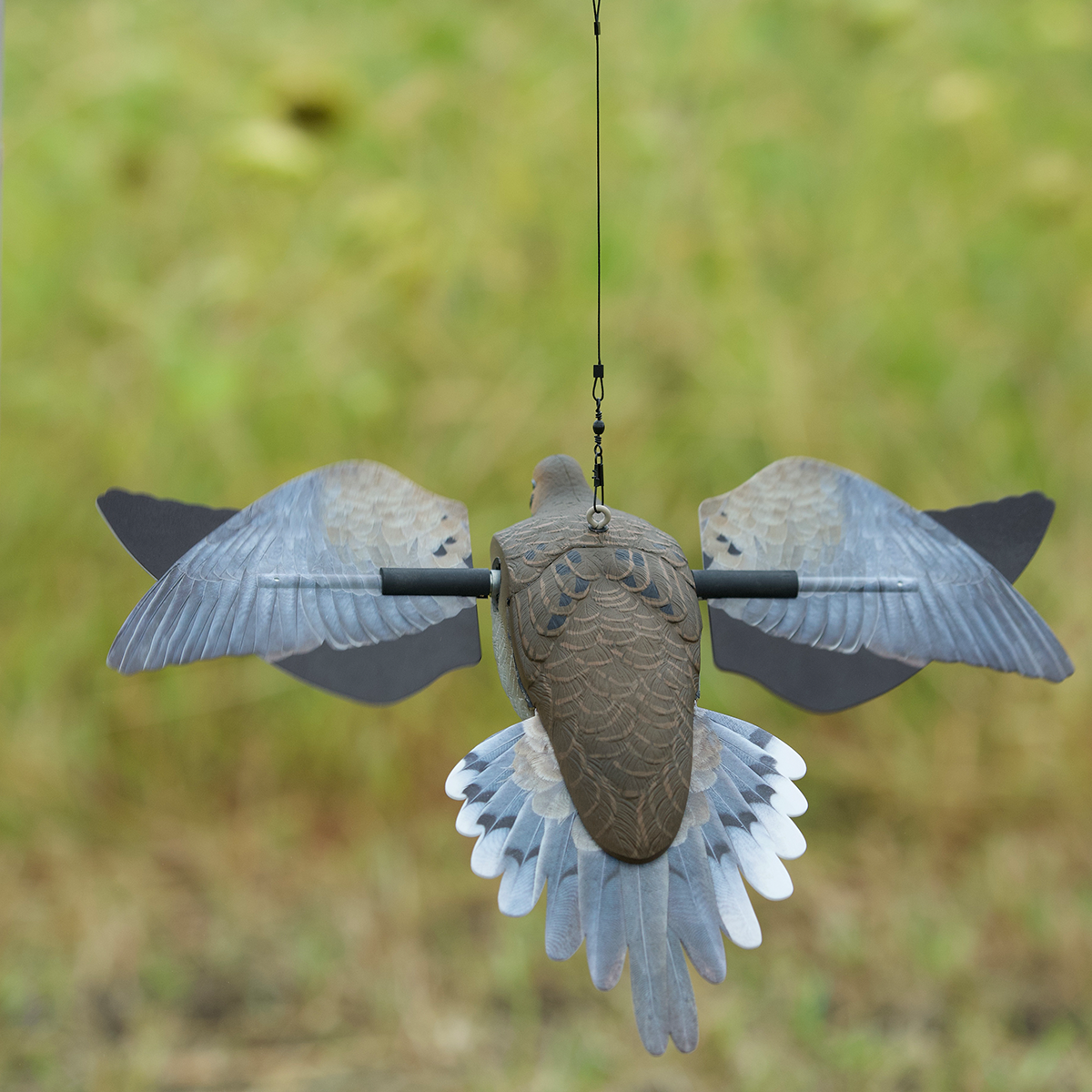 Powerflight Dove