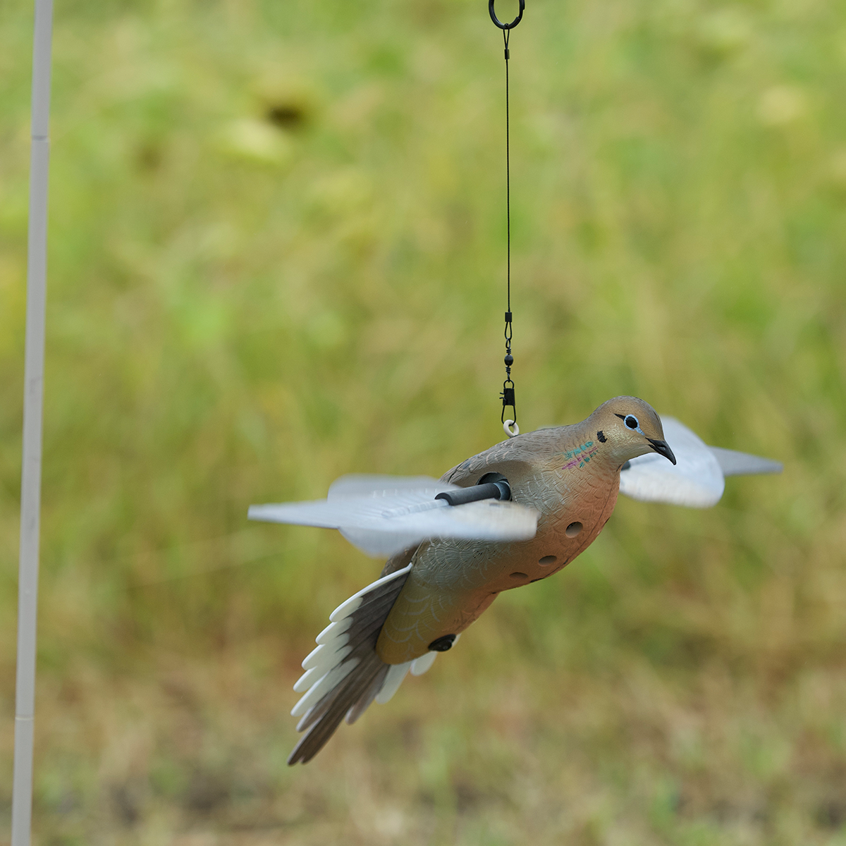 Powerflight Dove