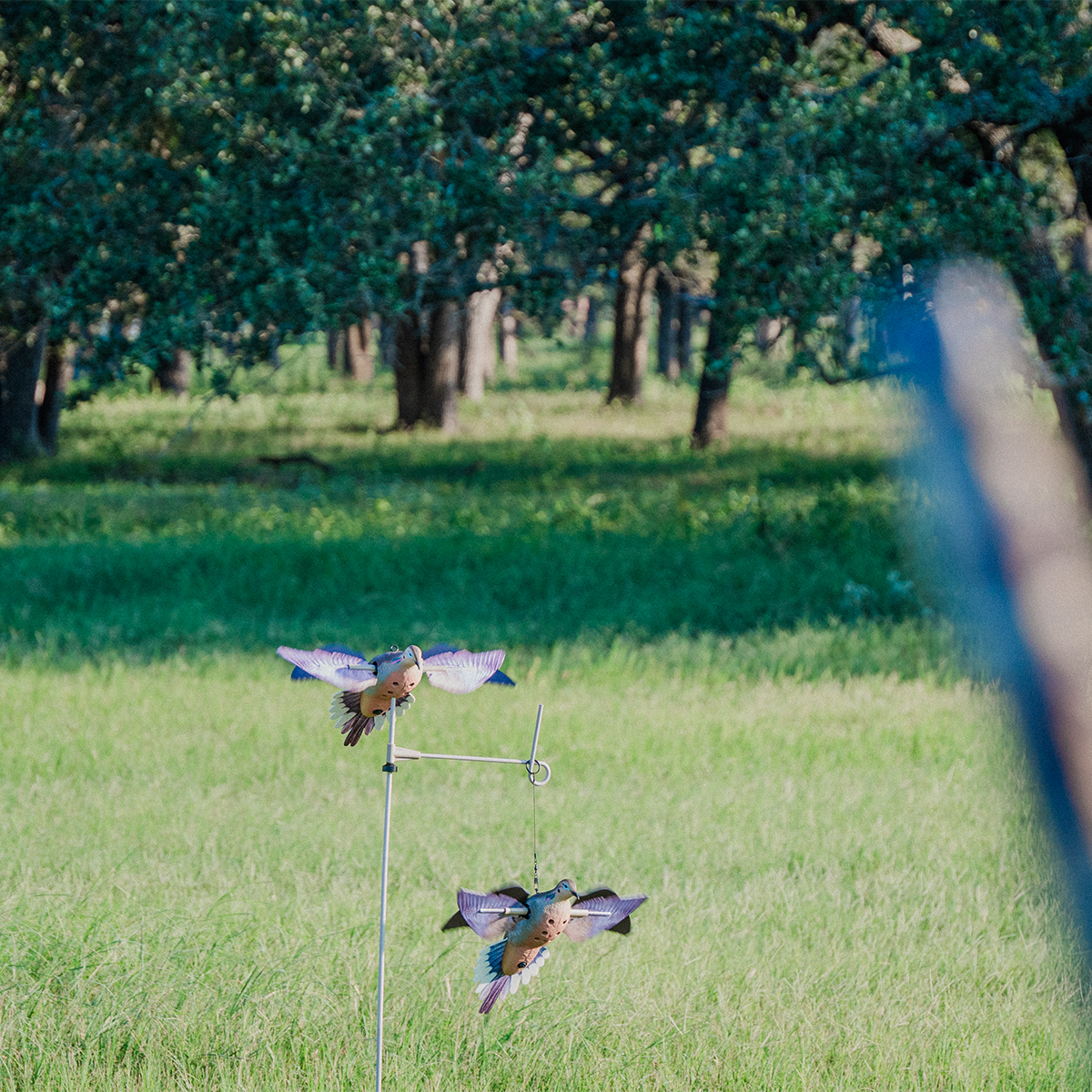 Powerflight Dove