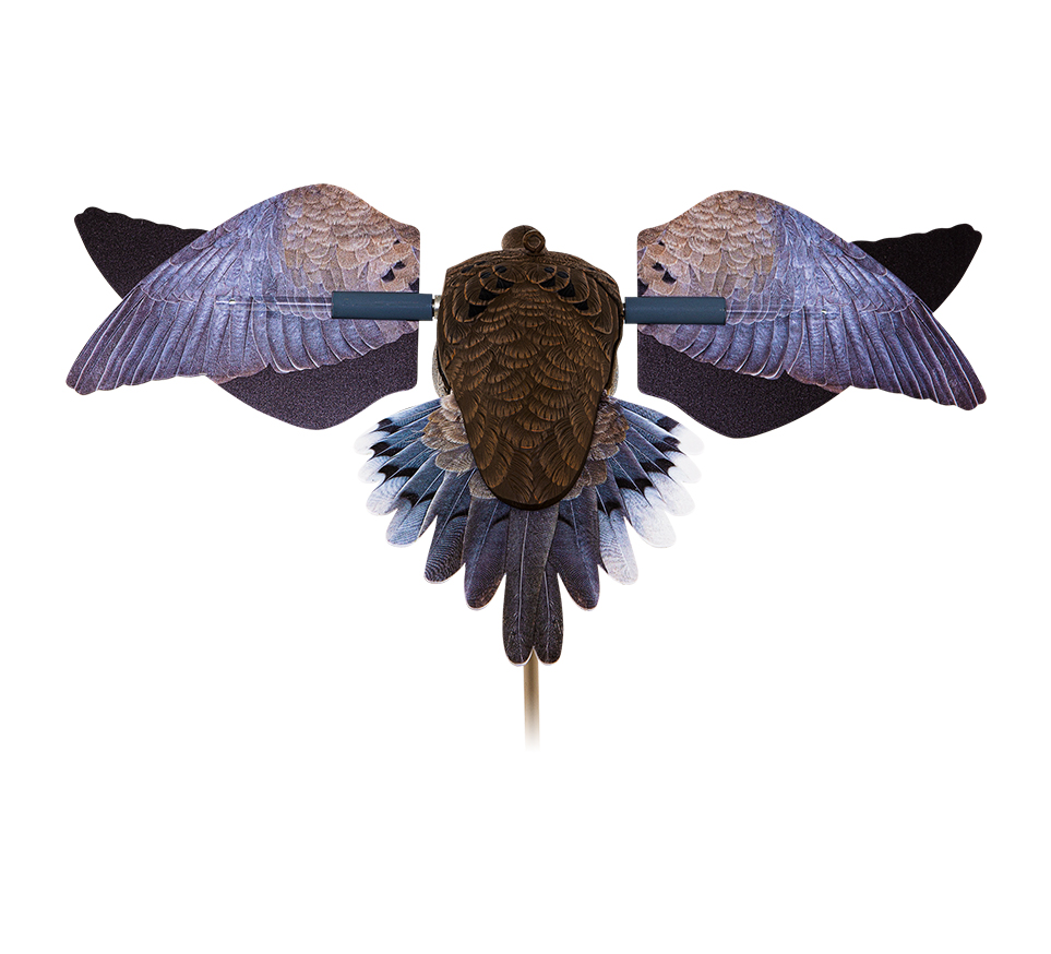 Powerflight Dove
